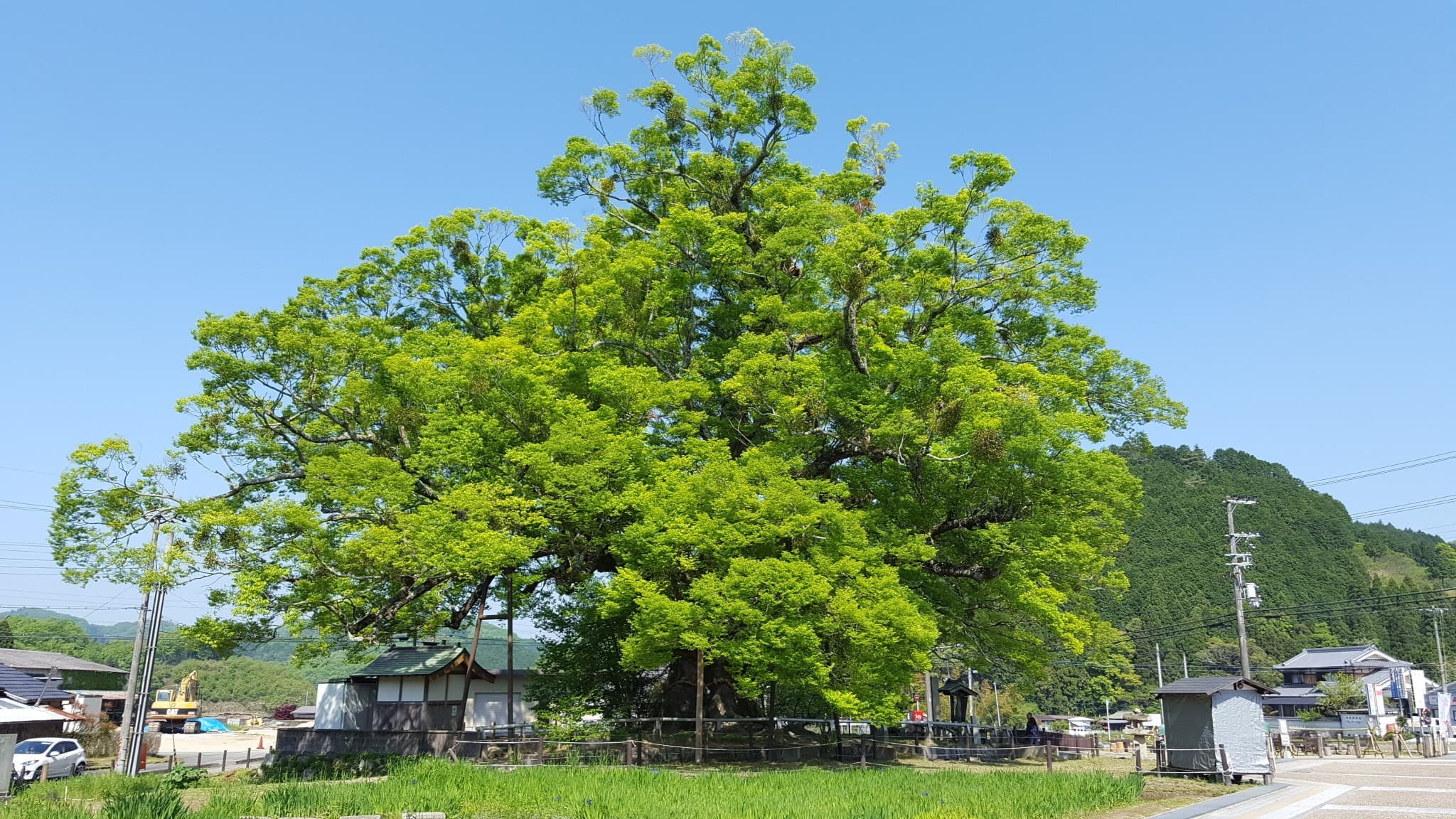 能勢町野間の大ケヤキ不動産の売却はオーエムシーハウジング