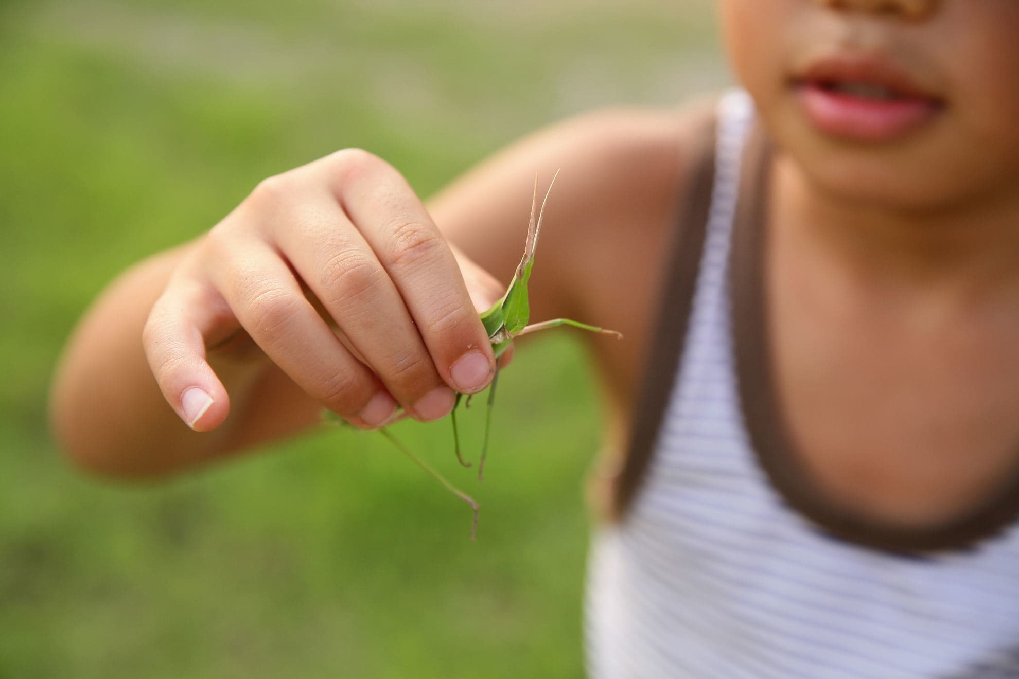 能勢町豊能町猪名川町の大自然